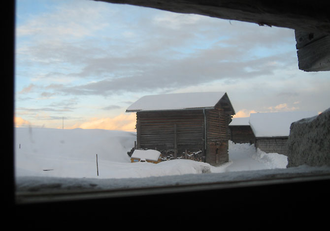 Blick vom Küchenfenster