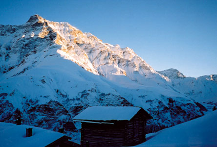 Blick gegen das Bruschghorn (3056 m..M)
